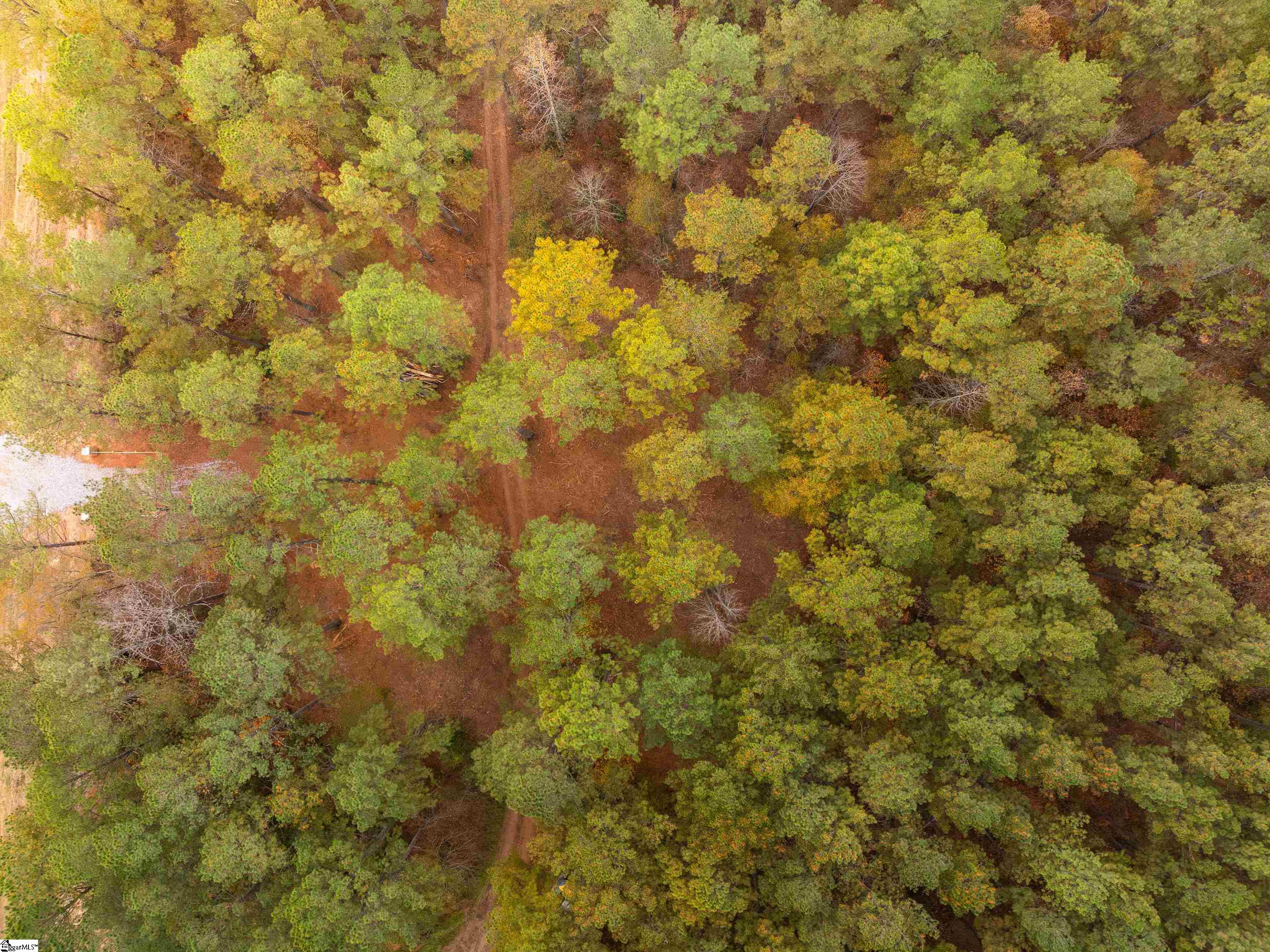 4 Mill Pine Road Liberty, SC 29657 - Photo 10 of 34