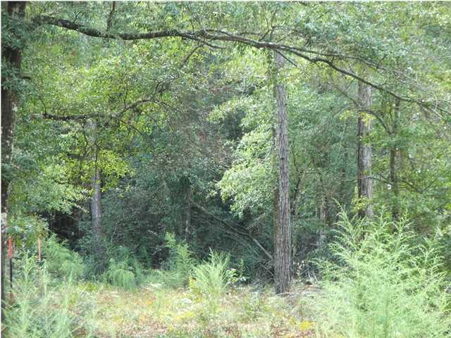 18 Yohn Road Baker, FL 32531 - Photo 3 of 6 a view of a forest with a tree