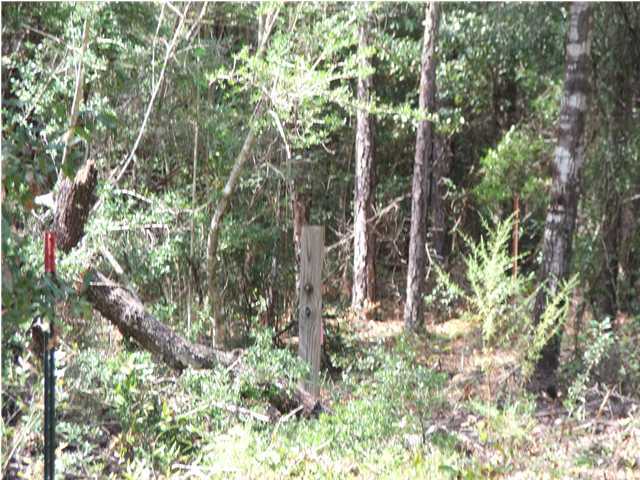 18 Yohn Road Baker, FL 32531 - Photo 4 of 6 a backyard of a house with lots of trees