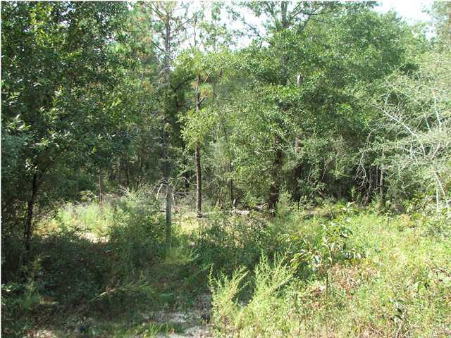 18 Yohn Road Baker, FL 32531 - Photo 5 of 6