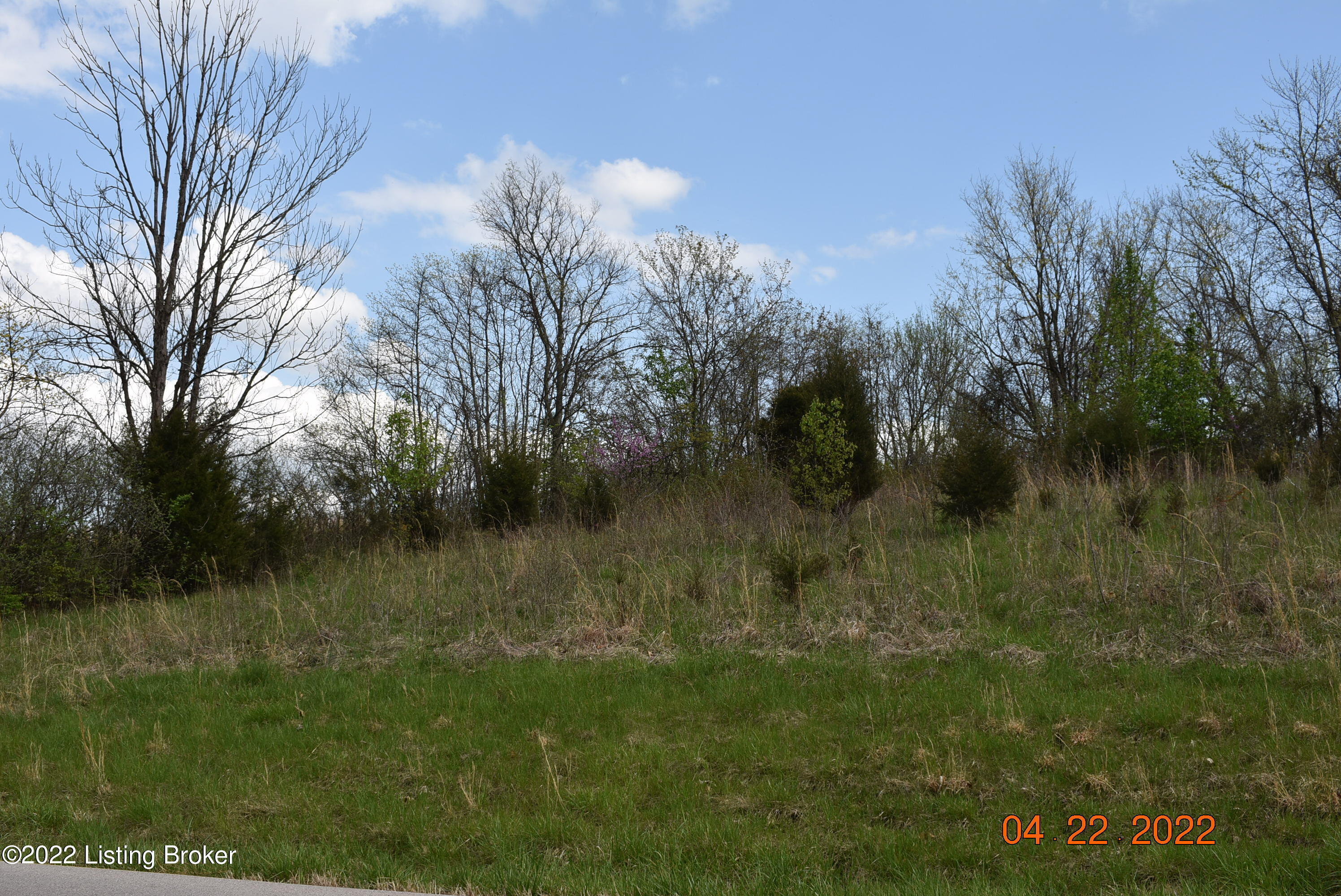 1 Hickory Ridge Road Waddy, KY 40076 - Photo 7 of 9 DSC_0290