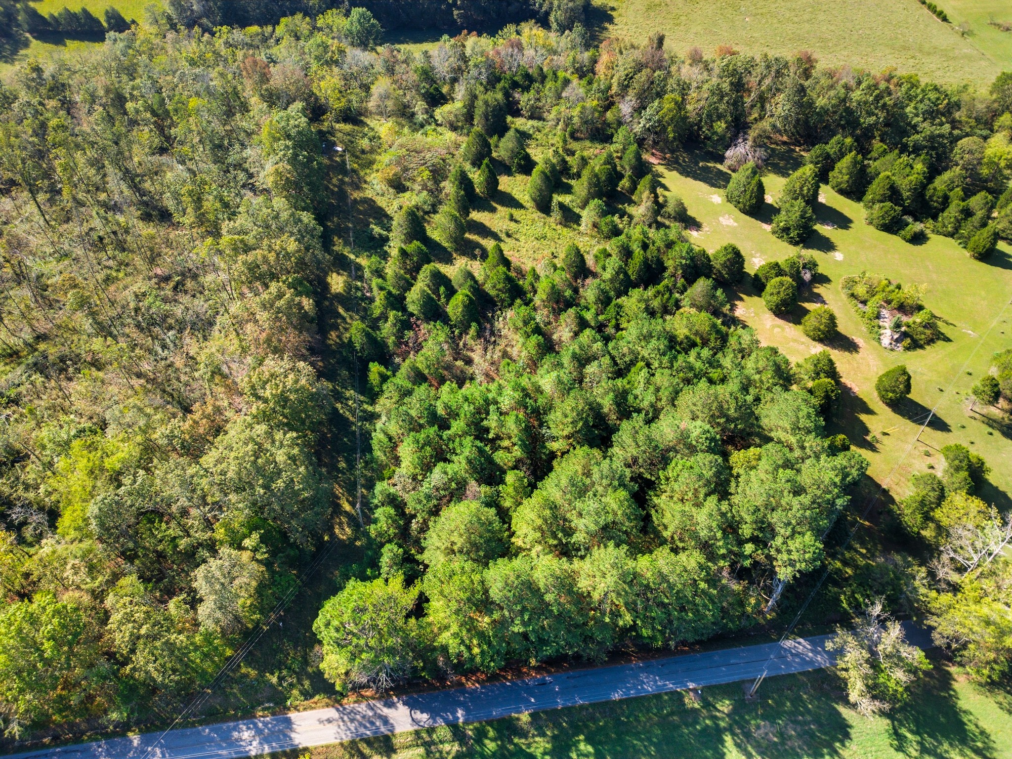 1340 Herschal Lyles Road Westmoreland, TN 37186 - Photo 3 of 10 a view of a garden with a tree