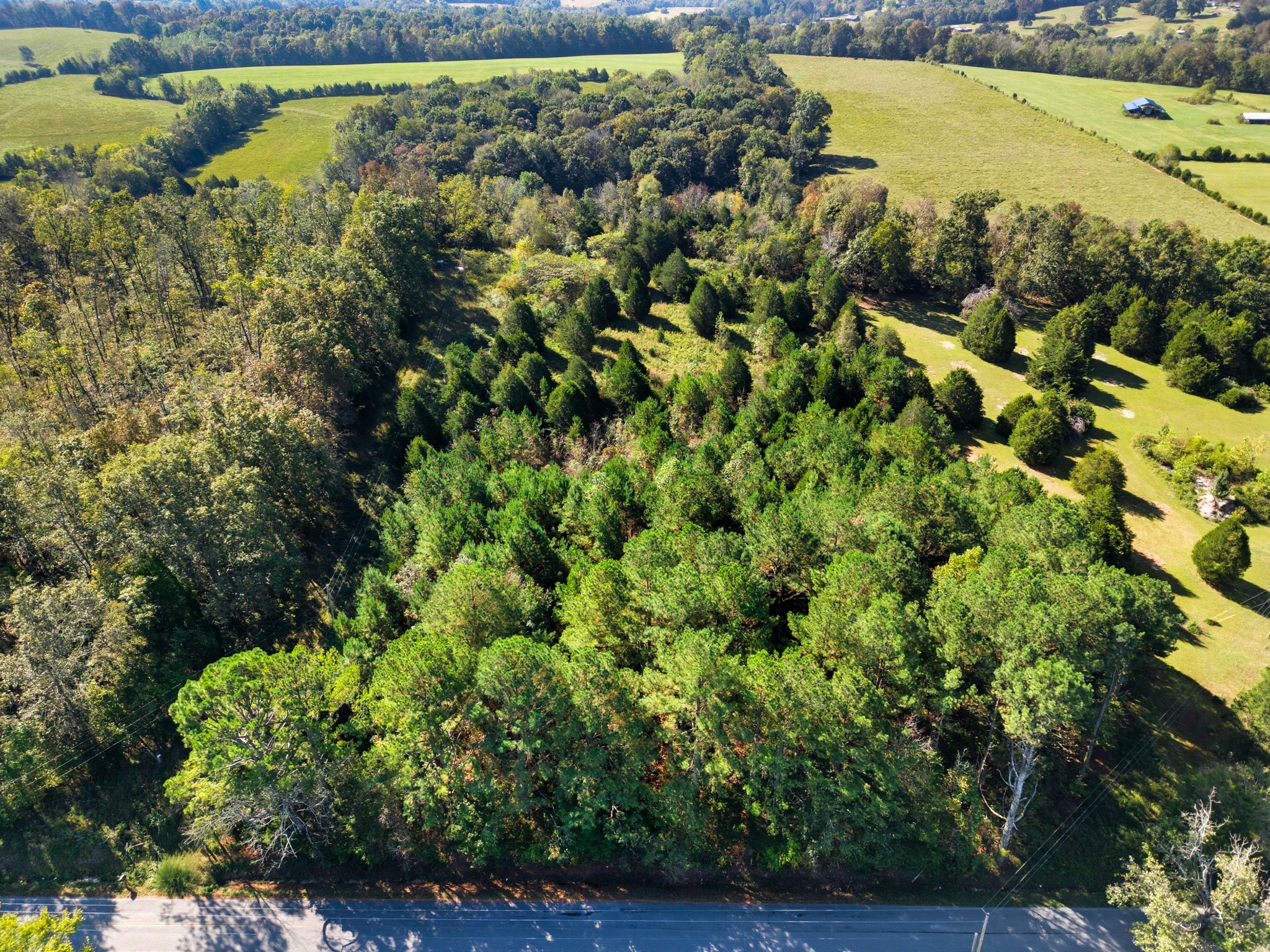 1340 Herschal Lyles Road Westmoreland, TN 37186 - Photo 4 of 10 a view of a garden with an ocean view