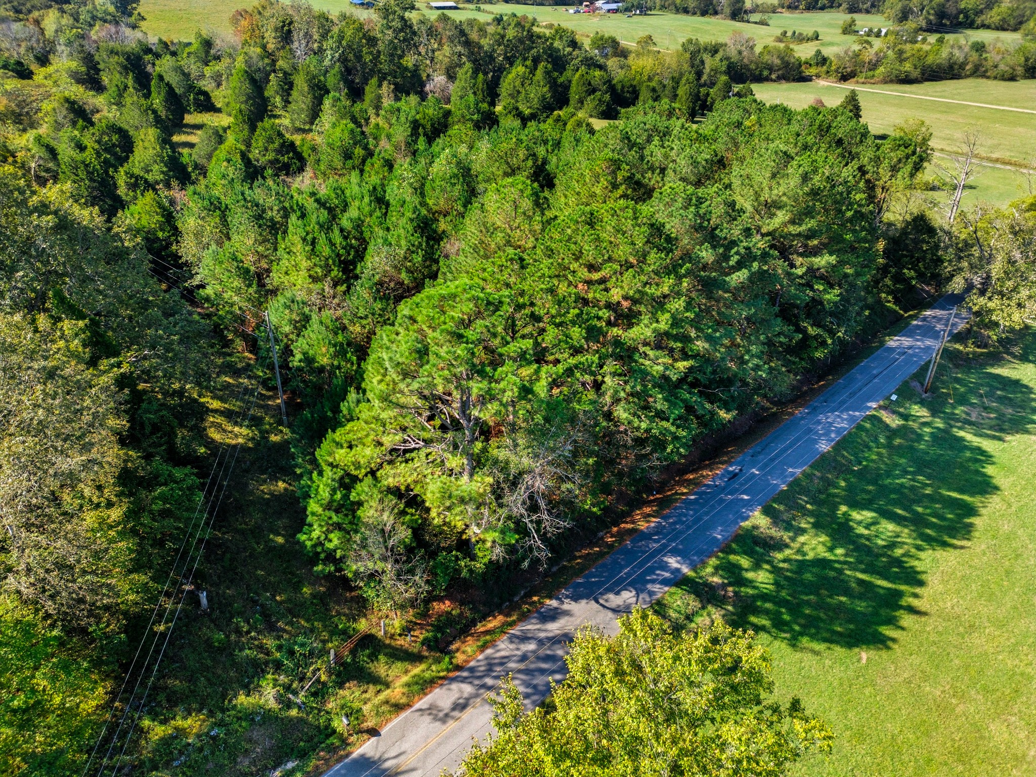 1340 Herschal Lyles Road Westmoreland, TN 37186 - Photo 5 of 10 a view of a garden with a tree
