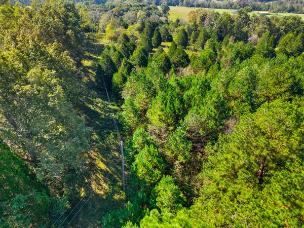 $175,000 | 1340 Herschal Lyles Road, Westmoreland, TN 37186