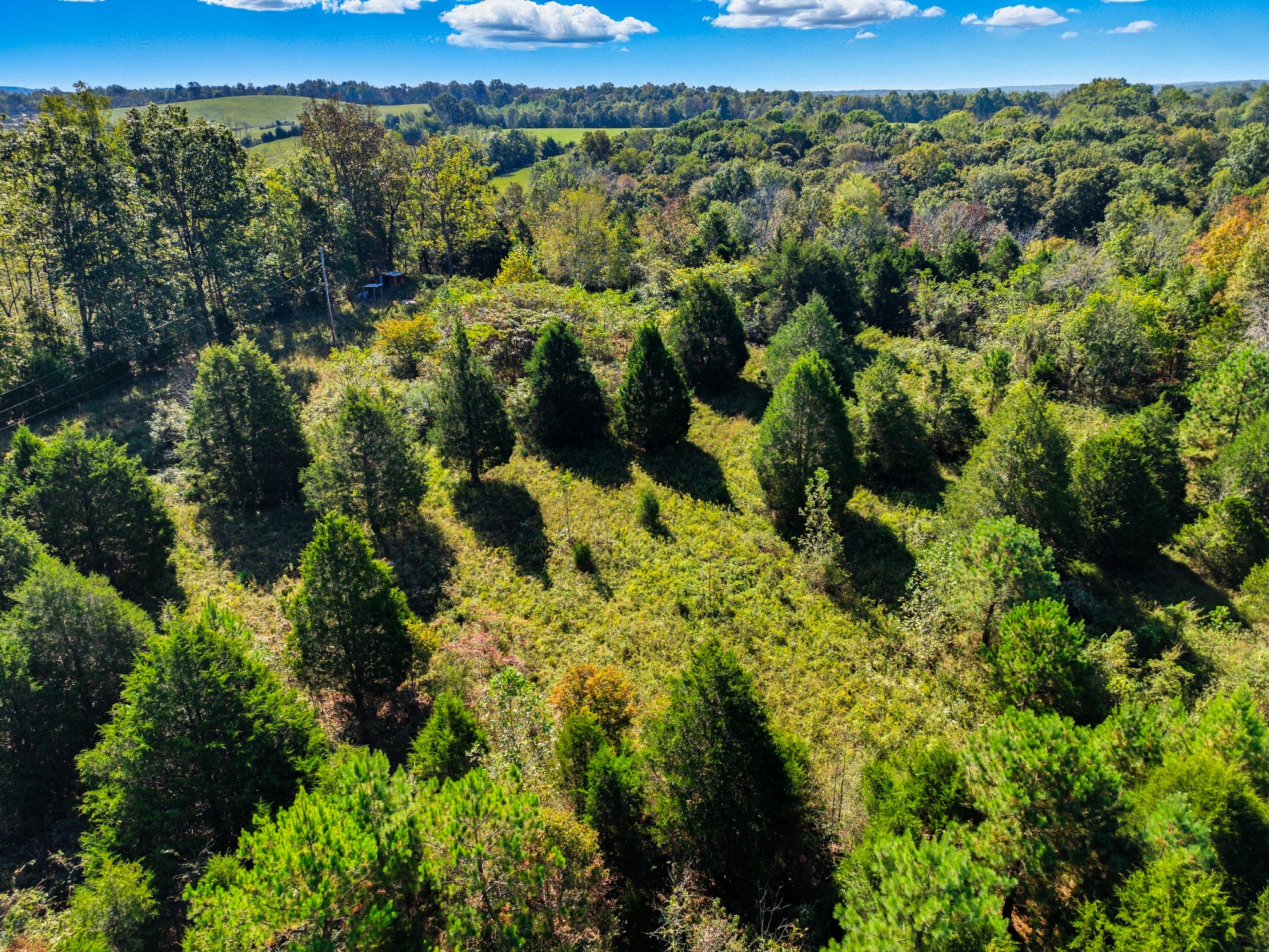 1340 Herschal Lyles Road Westmoreland, TN 37186 - Photo 7 of 10 a view of a green yard
