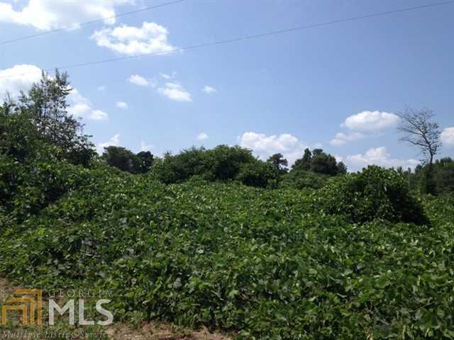 0 Bill Wright Road Pendergrass, GA 30567 - Photo 1 of 1 Gallery Image 1