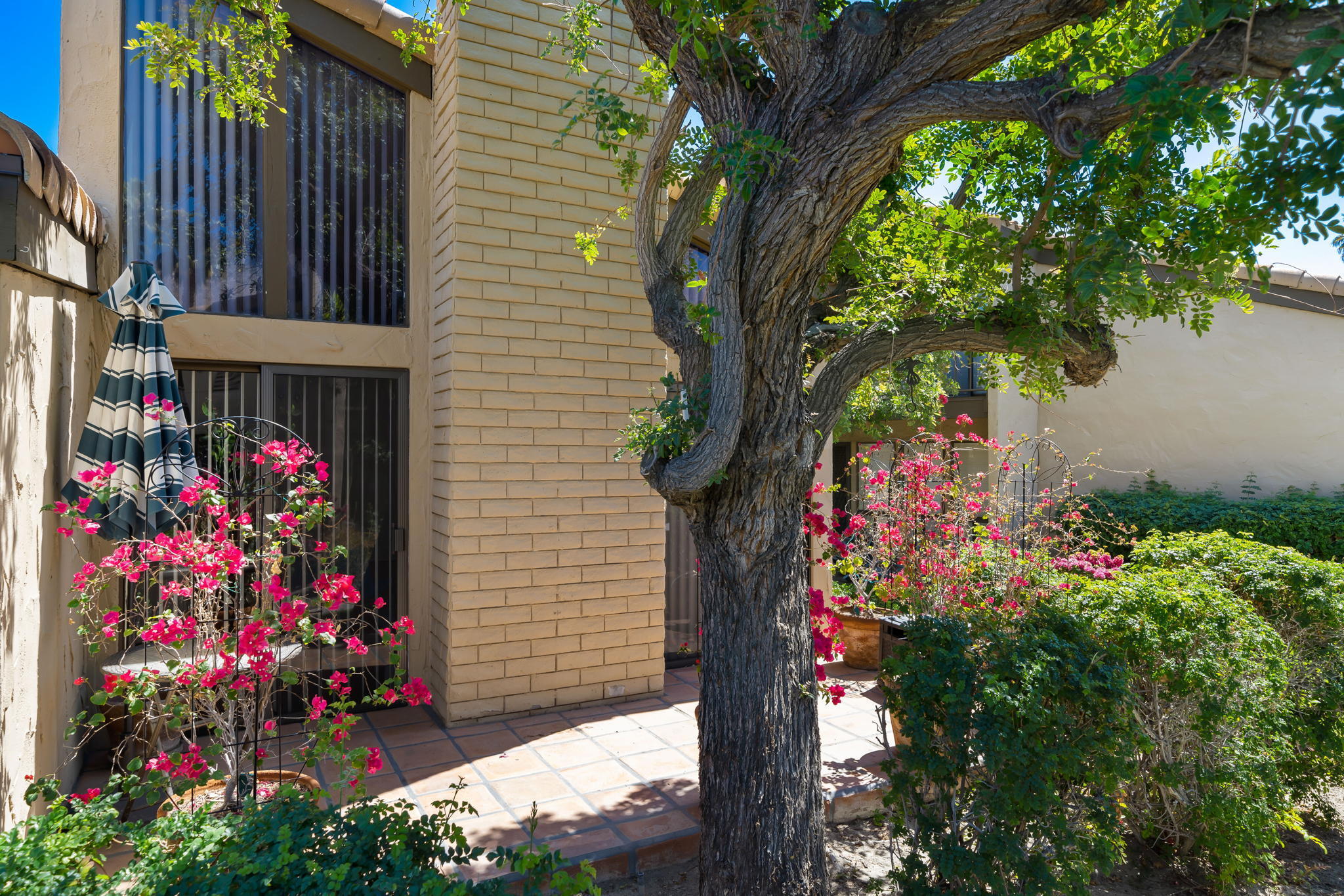 1757 Ramon Road, Unit 40 Palm Springs, CA 92264 - Photo 14 of 20 a tree lined with flowers