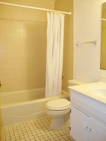 19201 Weber Road Mokena, IL 60448 - Photo 13 of 15 a bathroom with a toilet and a shower curtain