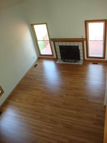 19201 Weber Road Mokena, IL 60448 - Photo 3 of 15 a view of an empty room with wooden floor and a window