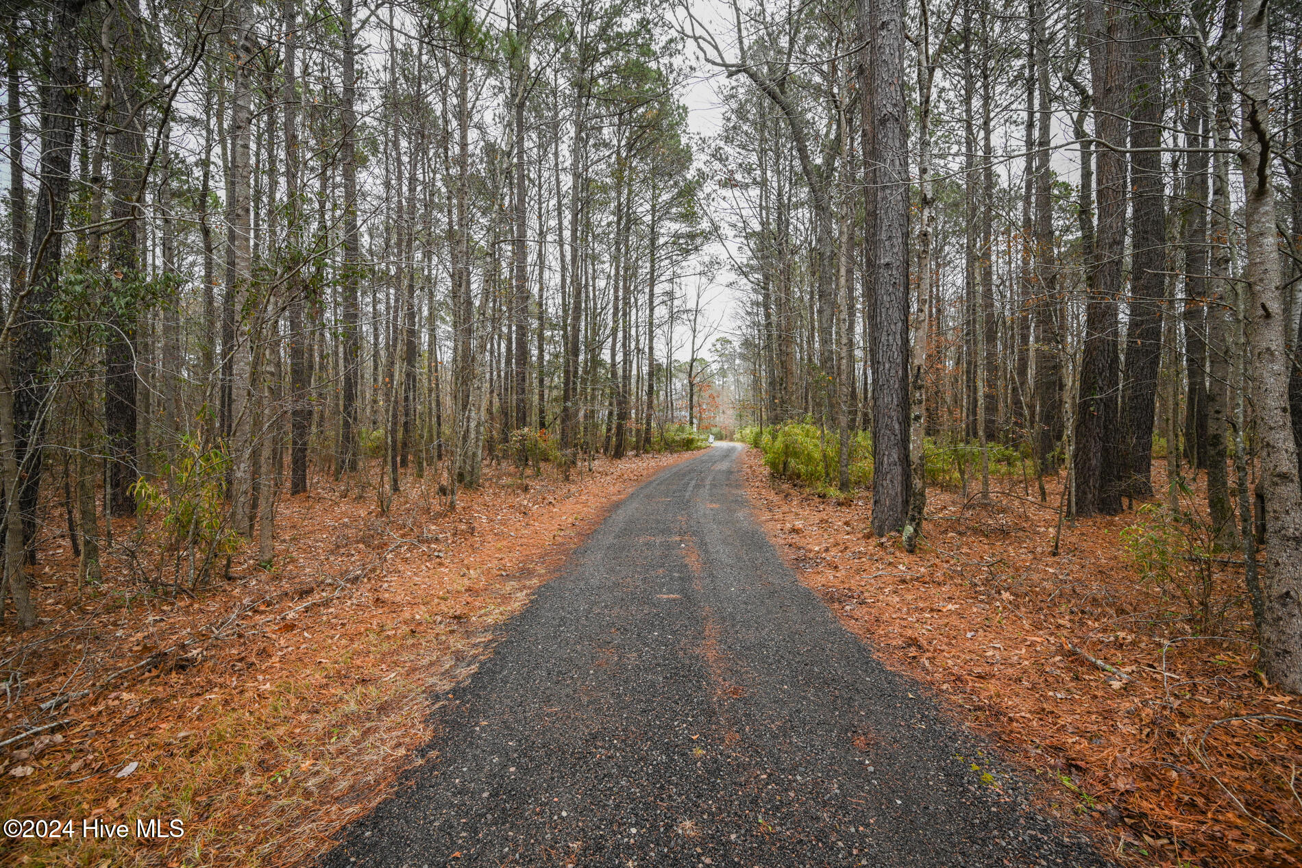 269 East Ridge Road Moyock, NC 27958 - Photo 2 of 40 269 East Ridge Rd.-1