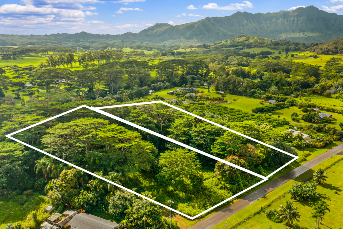 4641 F Kuawa Road Kilauea, HI 96754 - Photo 3 of 9 a view of a tennis court