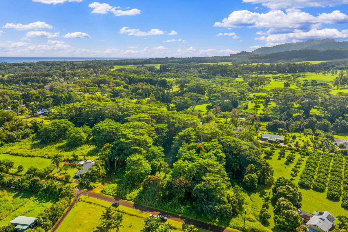 4641 F Kuawa Road Kilauea, HI 96754 - Photo 9 of 9 a view of a city