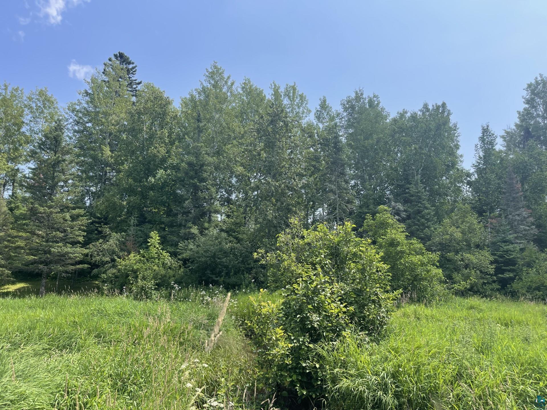 676 Valley Road Two Harbors, MN 55616 - Photo 24 of 40
