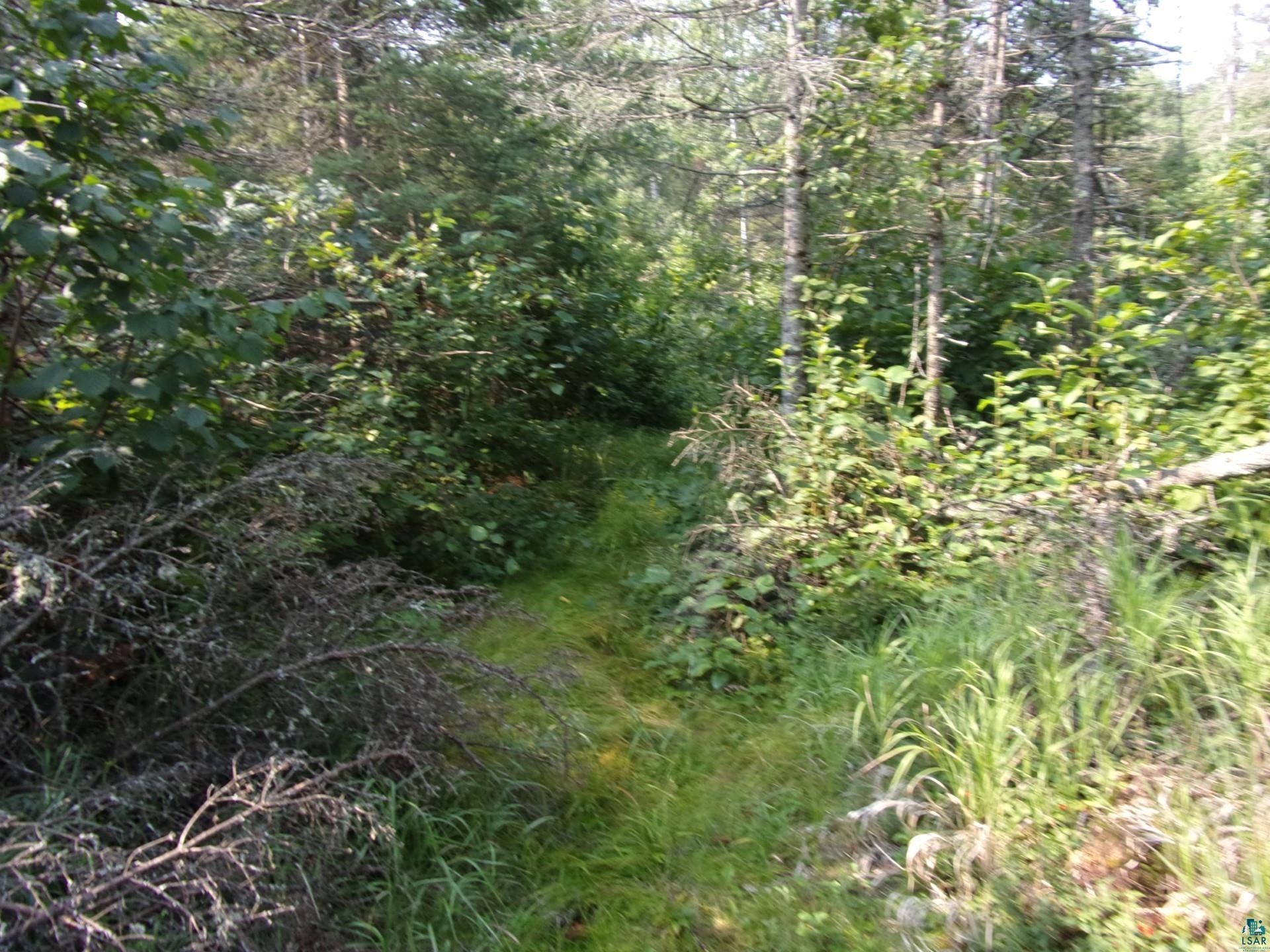 676 Valley Road Two Harbors, MN 55616 - Photo 26 of 40