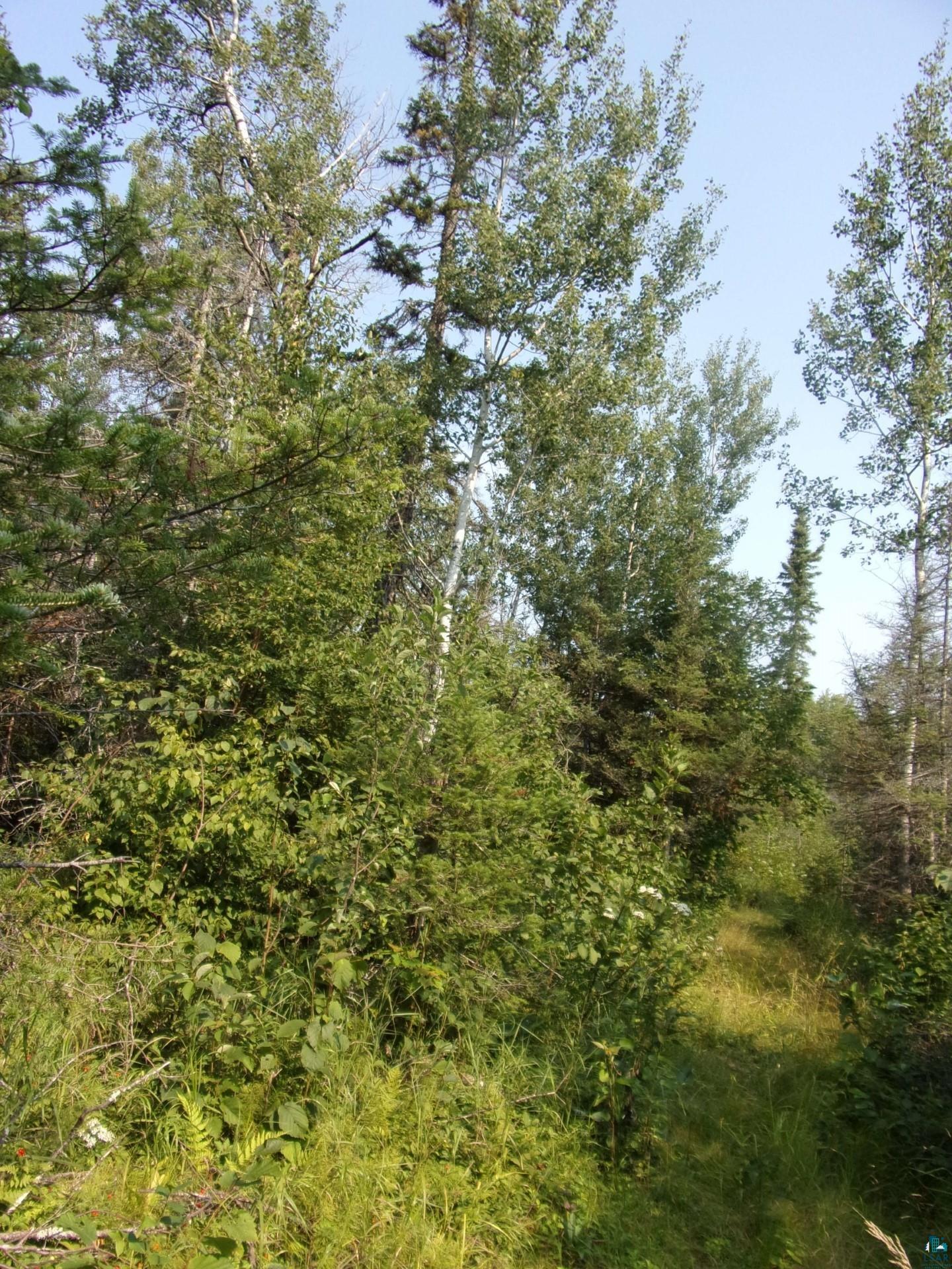 676 Valley Road Two Harbors, MN 55616 - Photo 27 of 40