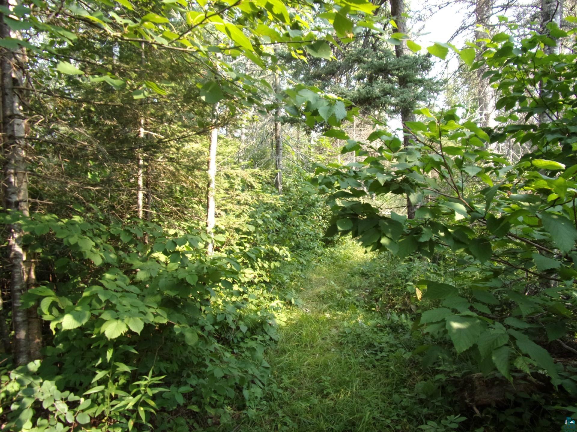 676 Valley Road Two Harbors, MN 55616 - Photo 28 of 40