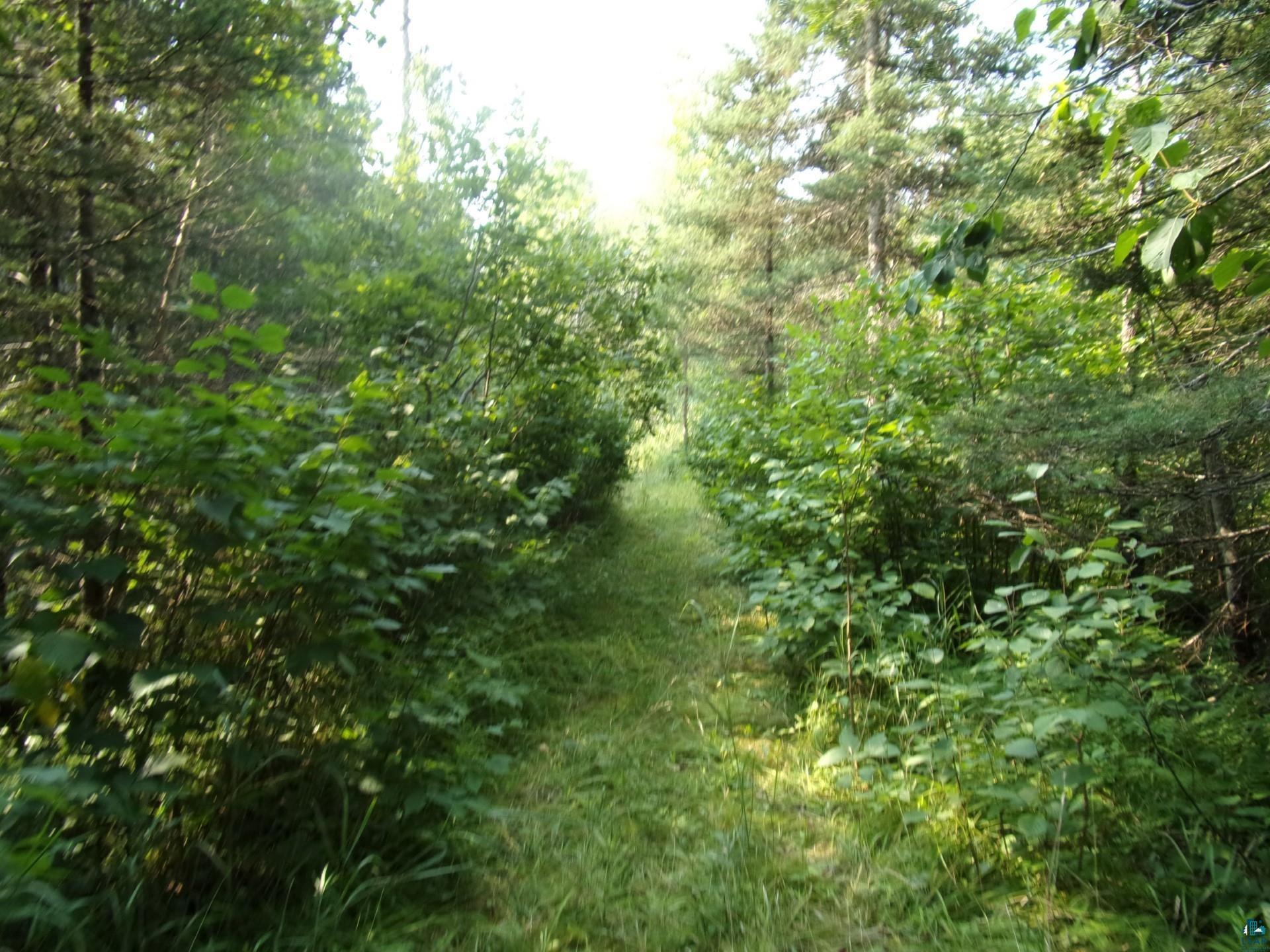676 Valley Road Two Harbors, MN 55616 - Photo 29 of 40