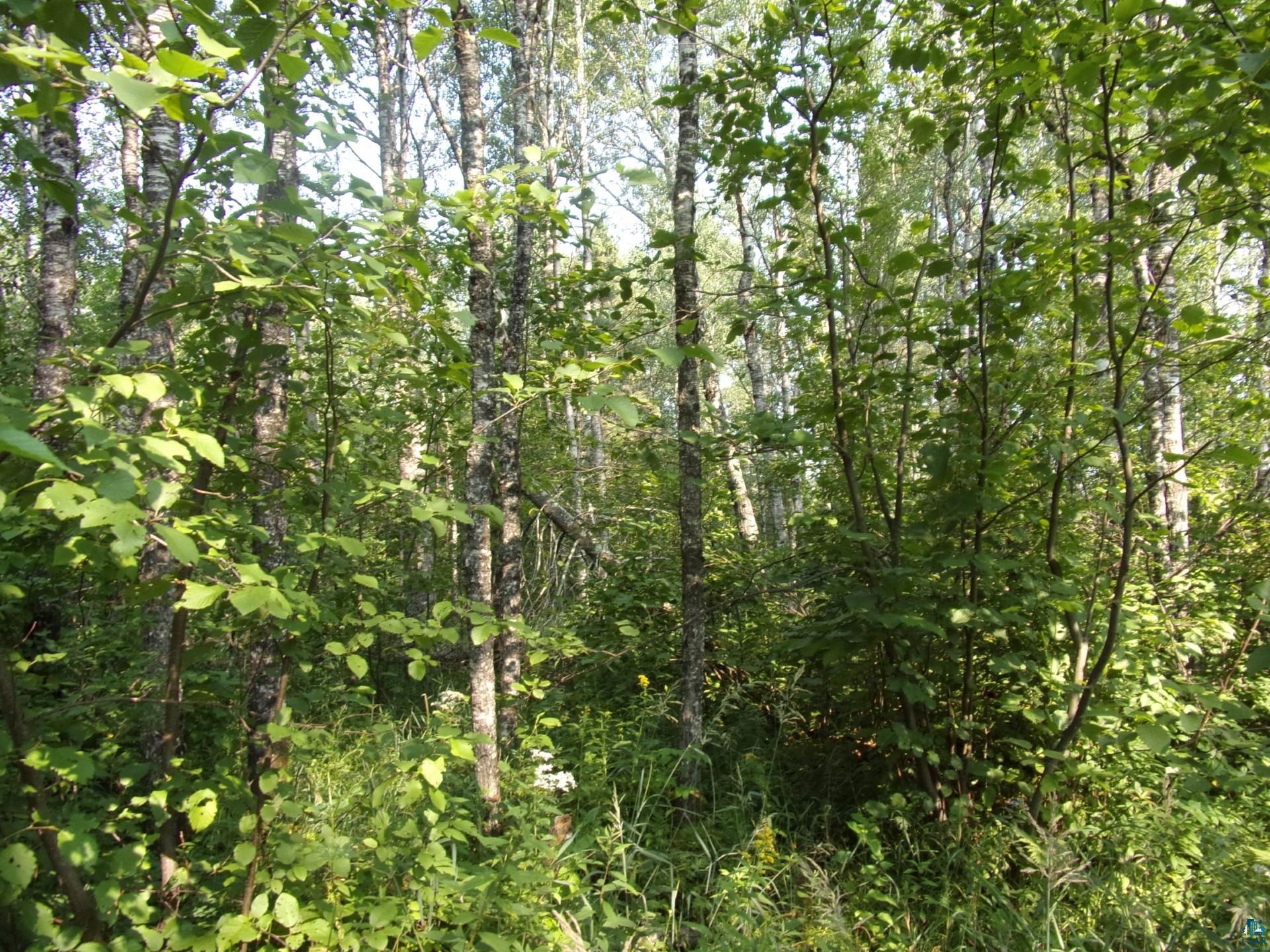 676 Valley Road Two Harbors, MN 55616 - Photo 33 of 40
