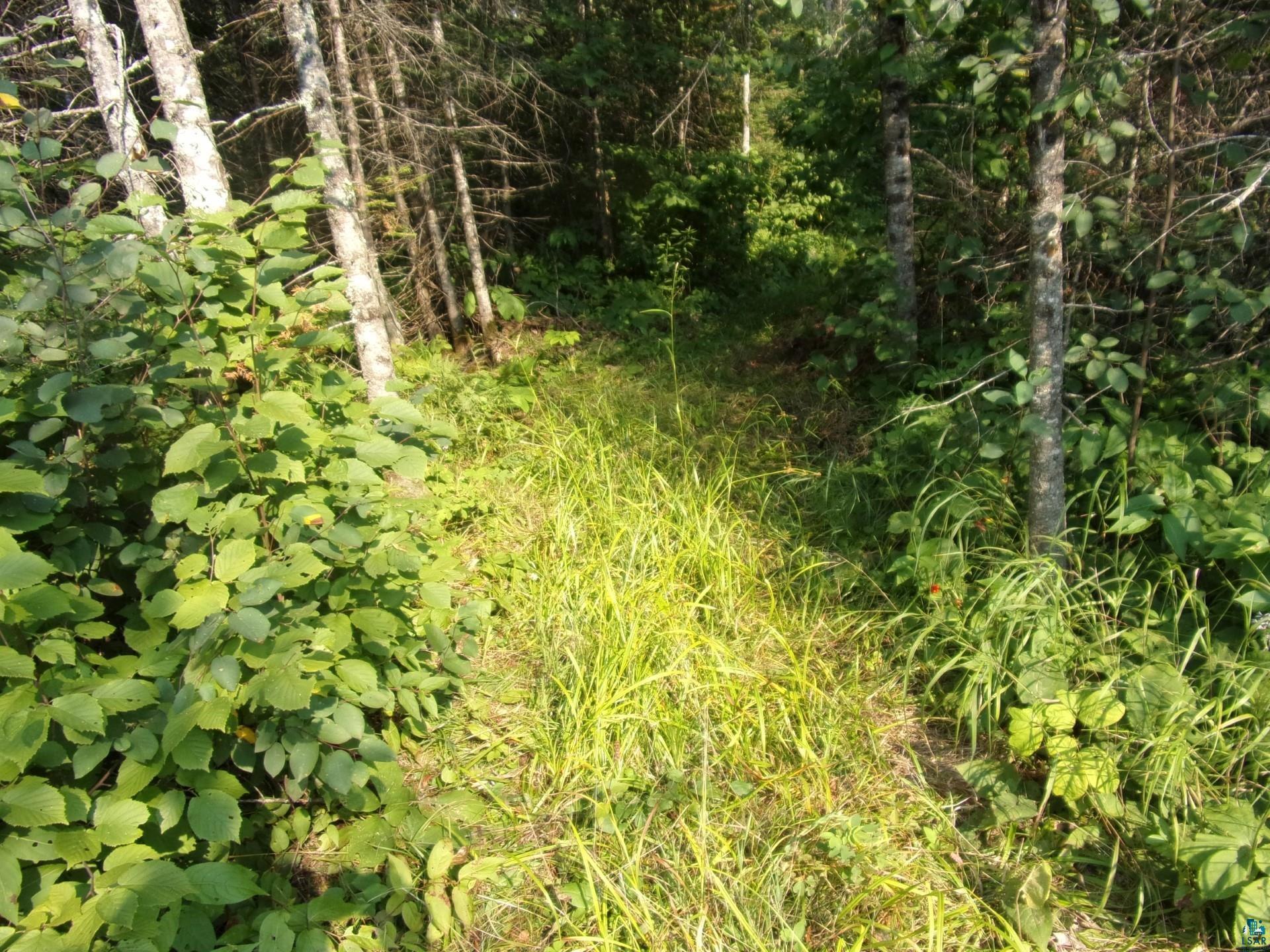 676 Valley Road Two Harbors, MN 55616 - Photo 34 of 40