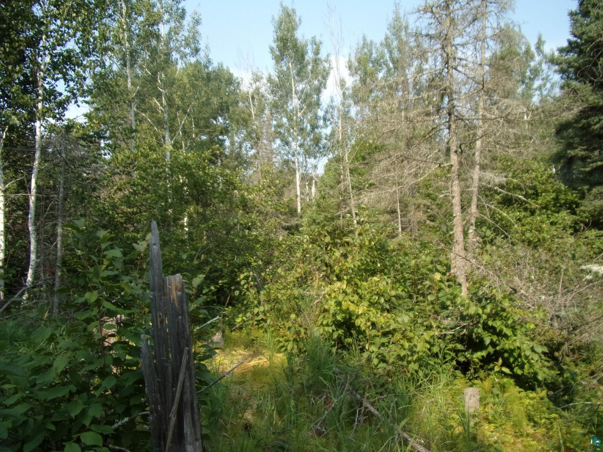 676 Valley Road Two Harbors, MN 55616 - Photo 35 of 40