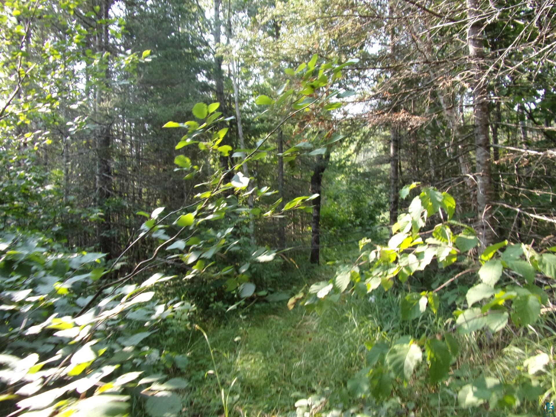 676 Valley Road Two Harbors, MN 55616 - Photo 36 of 40