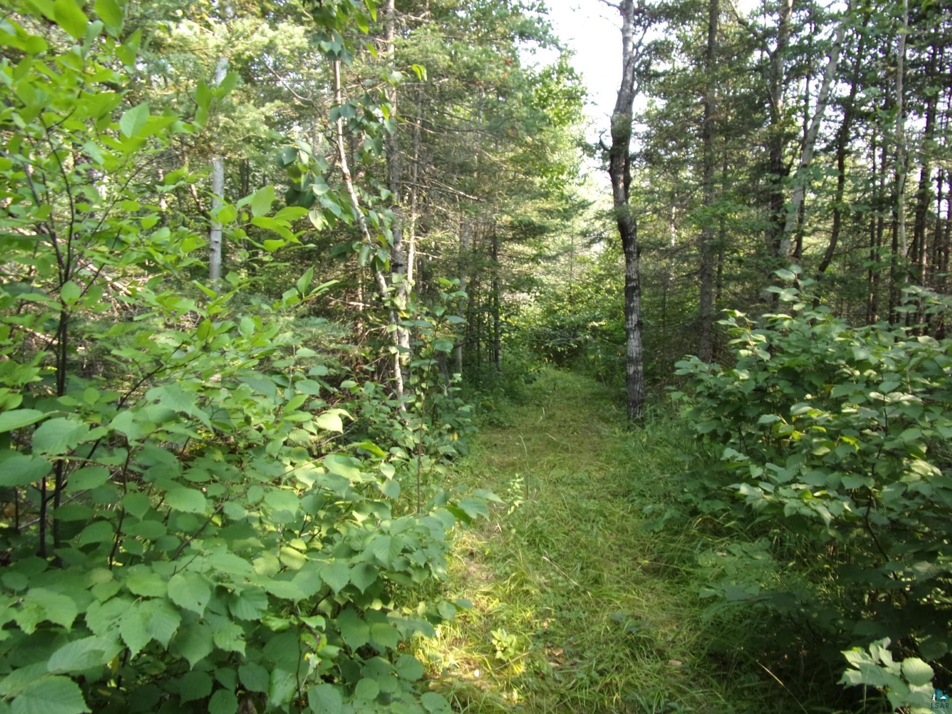 676 Valley Road Two Harbors, MN 55616 - Photo 37 of 40
