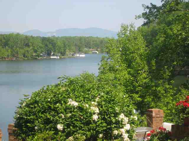 61 Fox Road, Unit LYMAN Lyman, SC 29365 - Photo 25 of 25