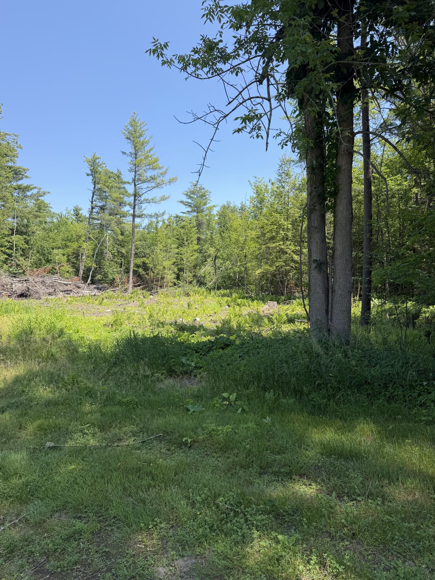 228 Staley Road Morrisonville, NY 12962 - Photo 5 of 8