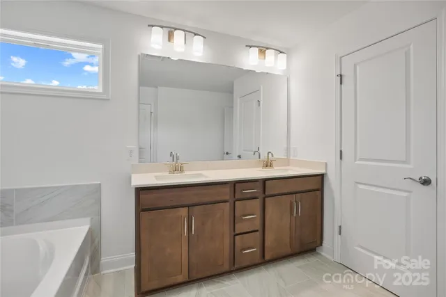 a bathroom with a double vanity sink and a bathtub