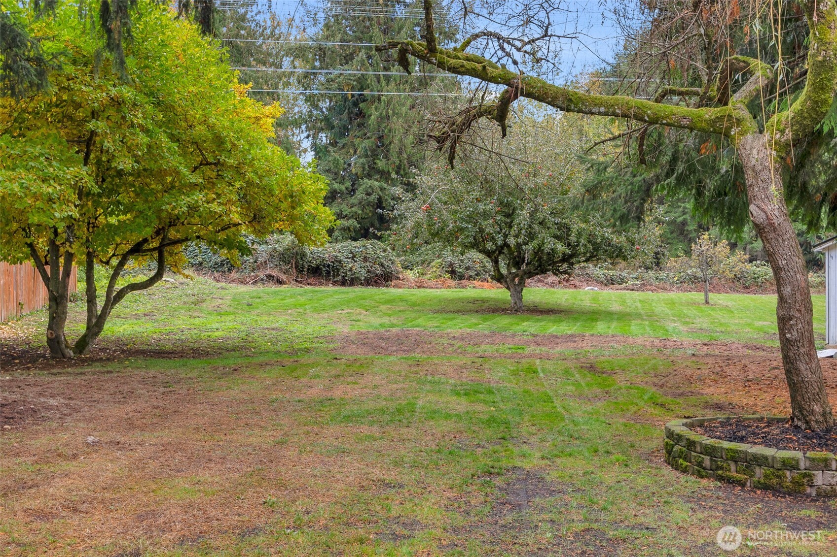 2400 177th Street Southeast Bothell, WA 98012 - Photo 23 of 29 a view of yard with tree