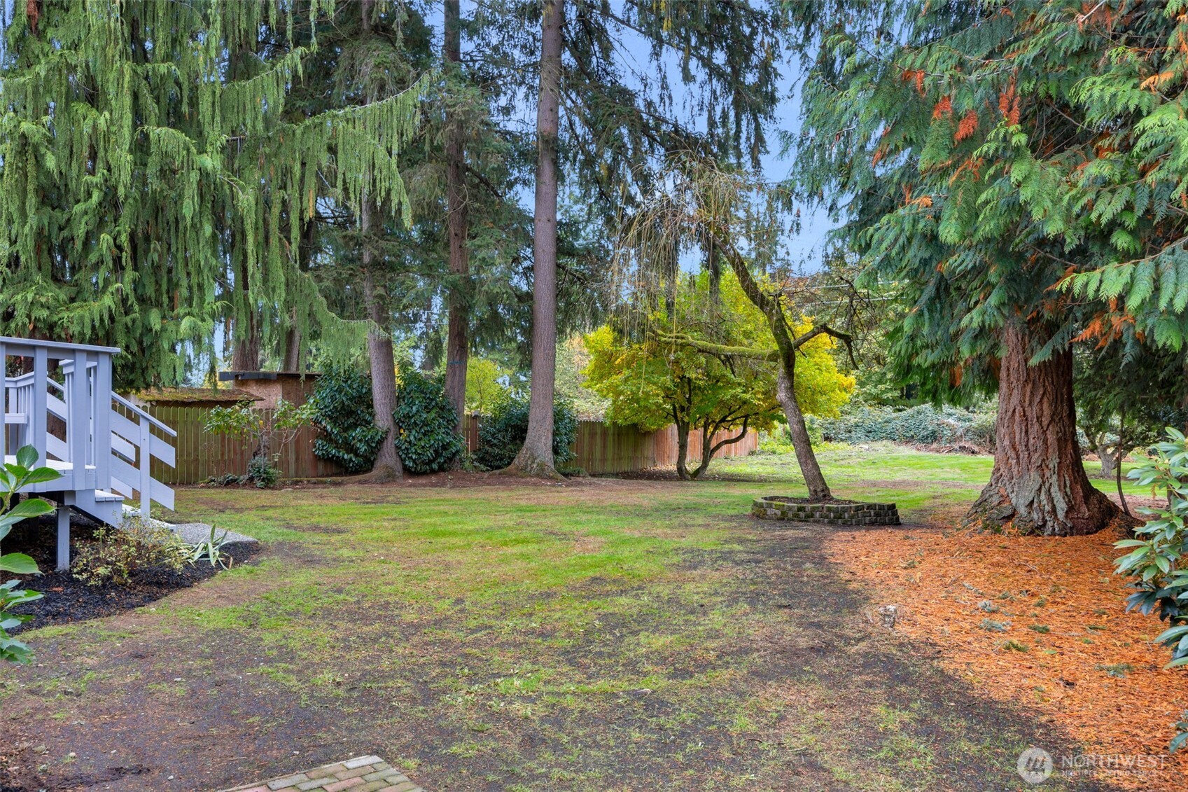 2400 177th Street Southeast Bothell, WA 98012 - Photo 24 of 29 a view of a yard with a tree