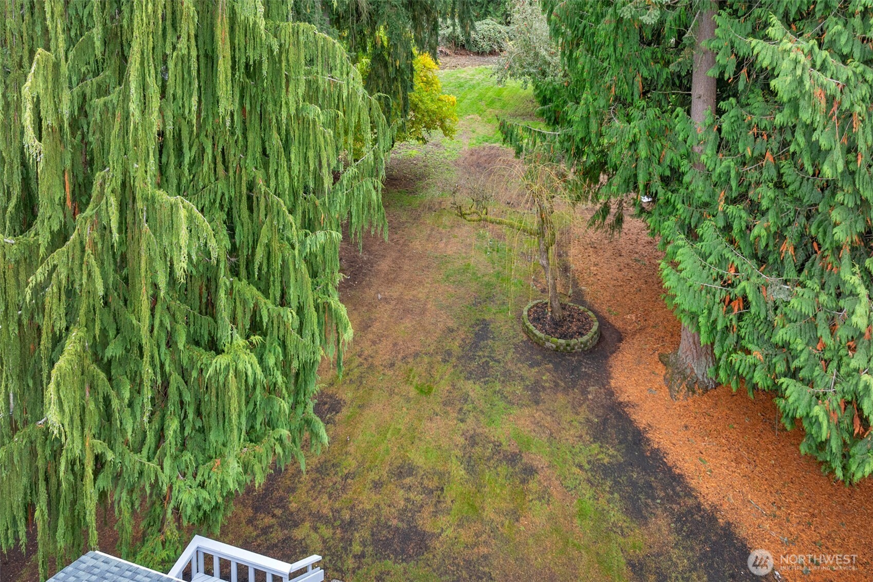 2400 177th Street Southeast Bothell, WA 98012 - Photo 26 of 29 a view of a garden with plants