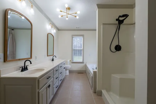 a bathroom with a double vanity sink a toilet a shower and a mirror