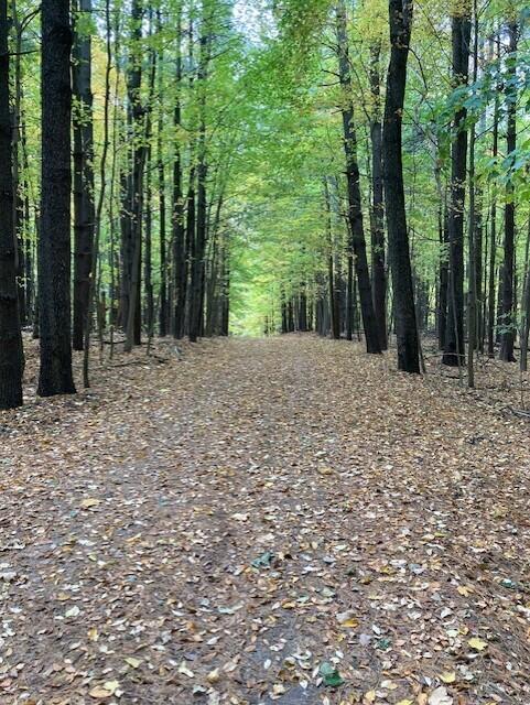 46 Camp Madron Road, Unit 46 Buchanan, MI 49107 - Photo 48 of 52 campmadron