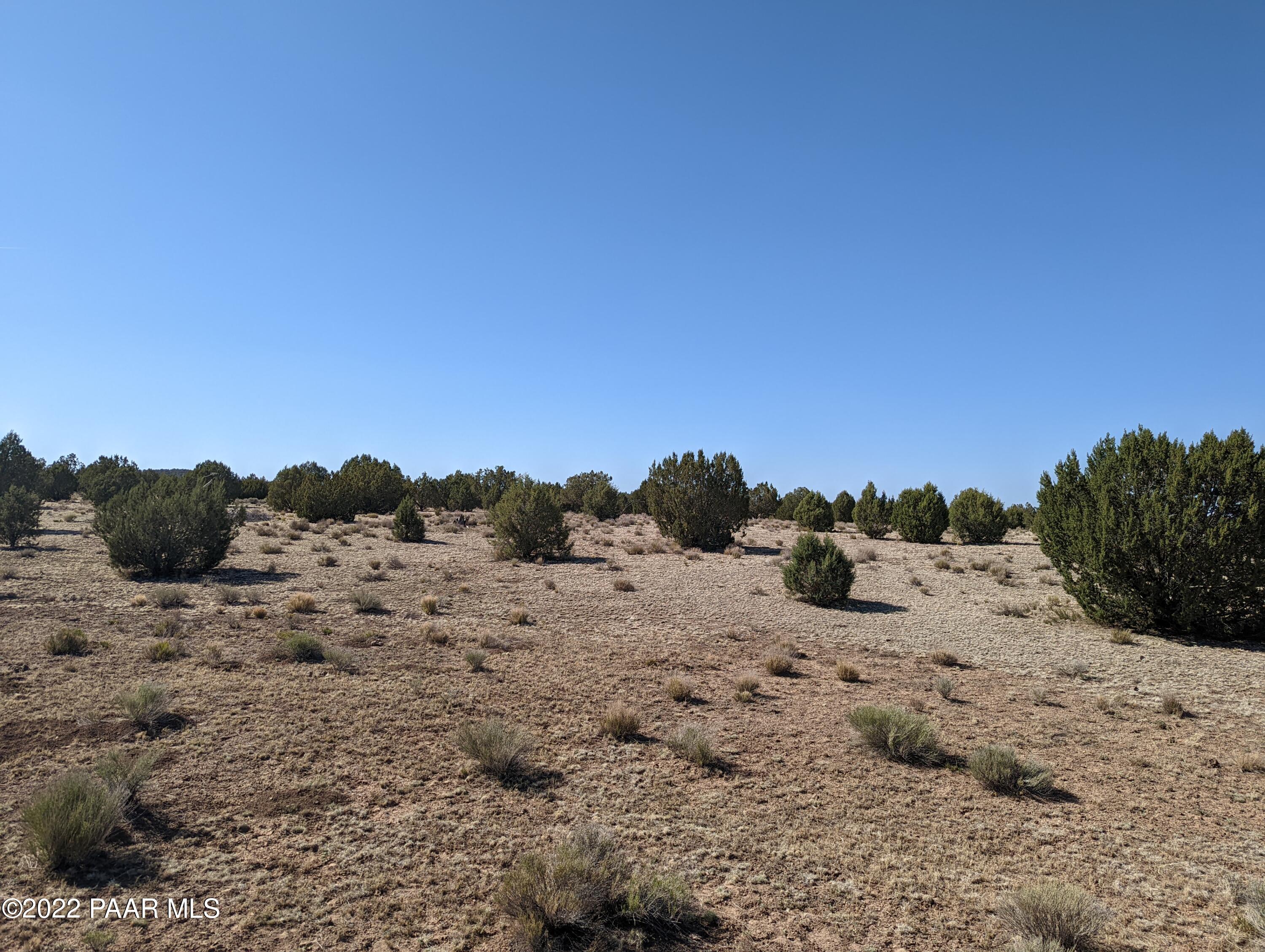 Xxx Jolly Road Seligman, AZ 86337 - Photo 5 of 13 PXL_20220531_230338179