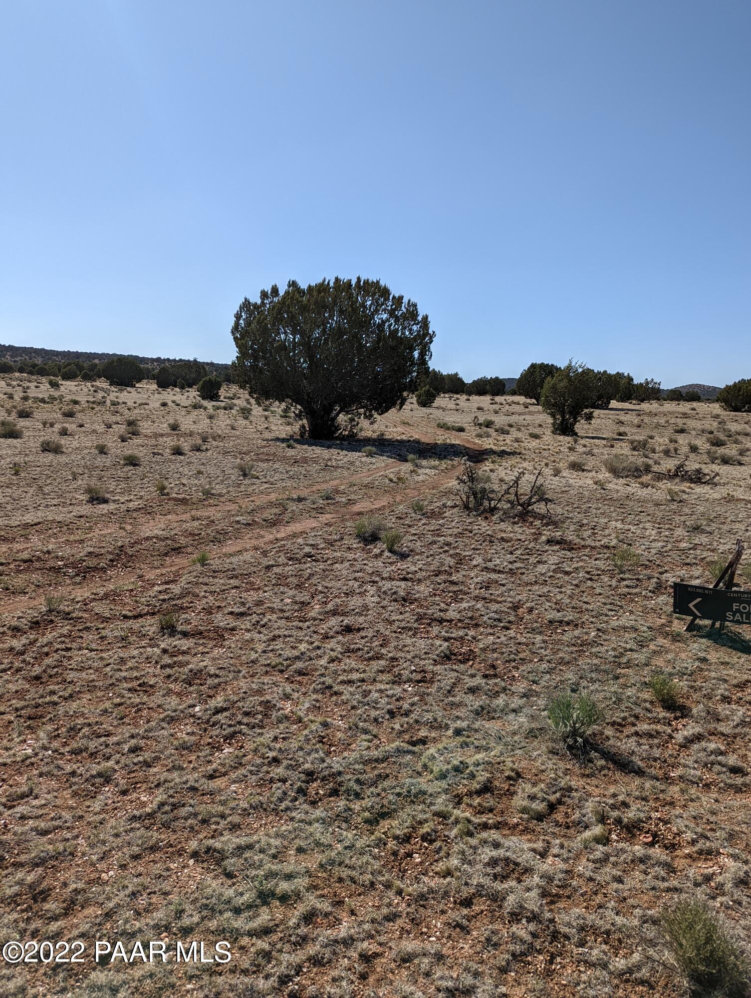Xxx Jolly Road Seligman, AZ 86337 - Photo 6 of 13 PXL_20220531_231248278