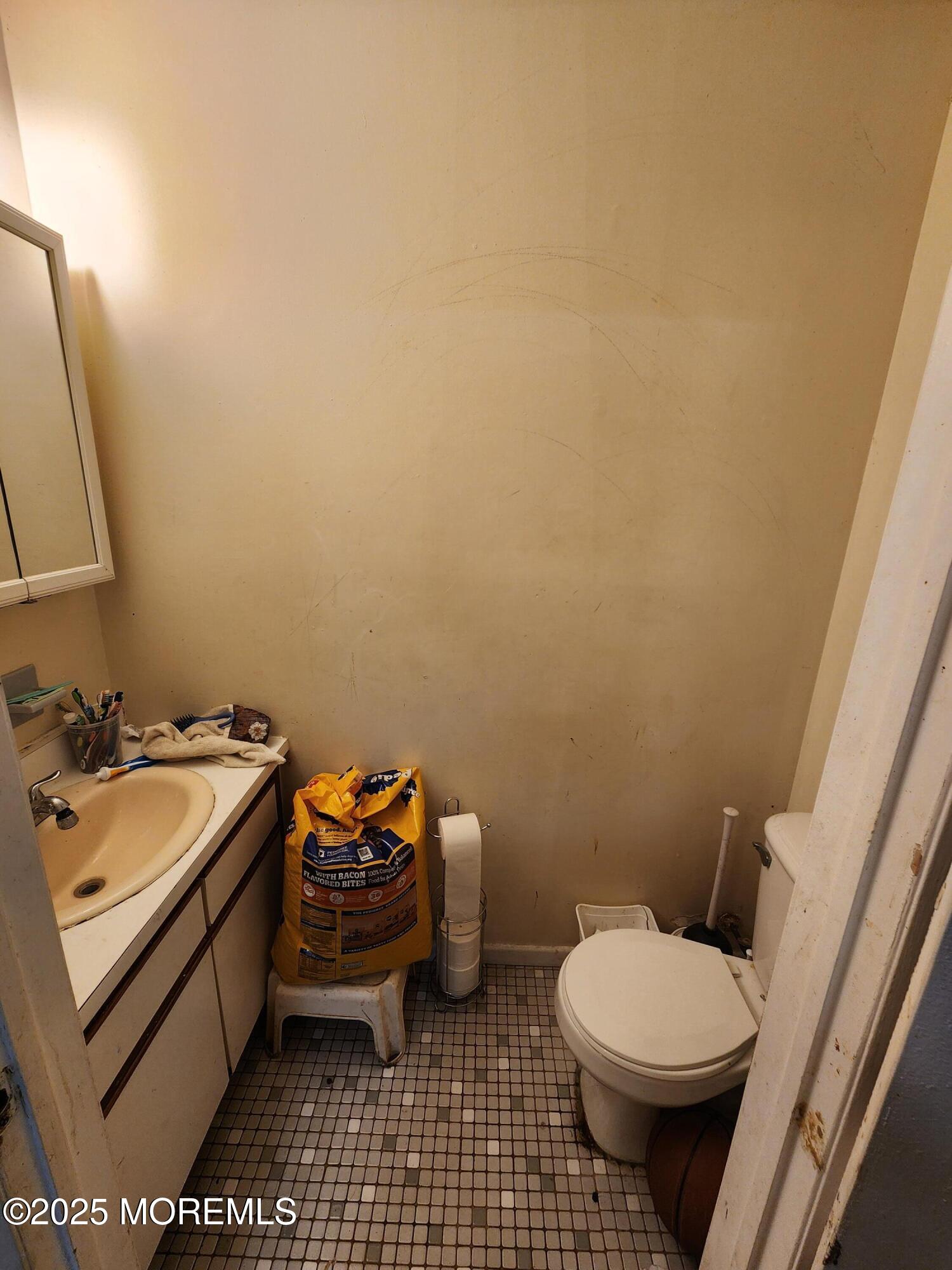 1102 Sawmill Road, Unit 99 Brick, NJ 08724 - Photo 9 of 13 a bathroom with a sink and a toilet