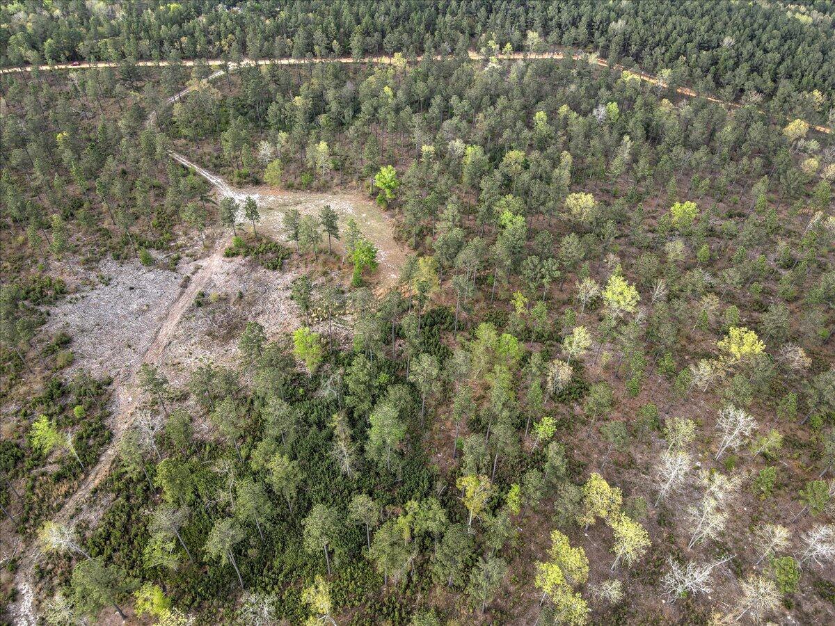 0 Deer Run Road, Unit E Williston, SC 29853 - Photo 14 of 15
