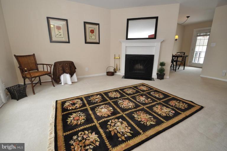 4620 28th Road South, Unit B Arlington, VA 22206 - Photo 6 of 18 a living room with furniture rug and fireplace