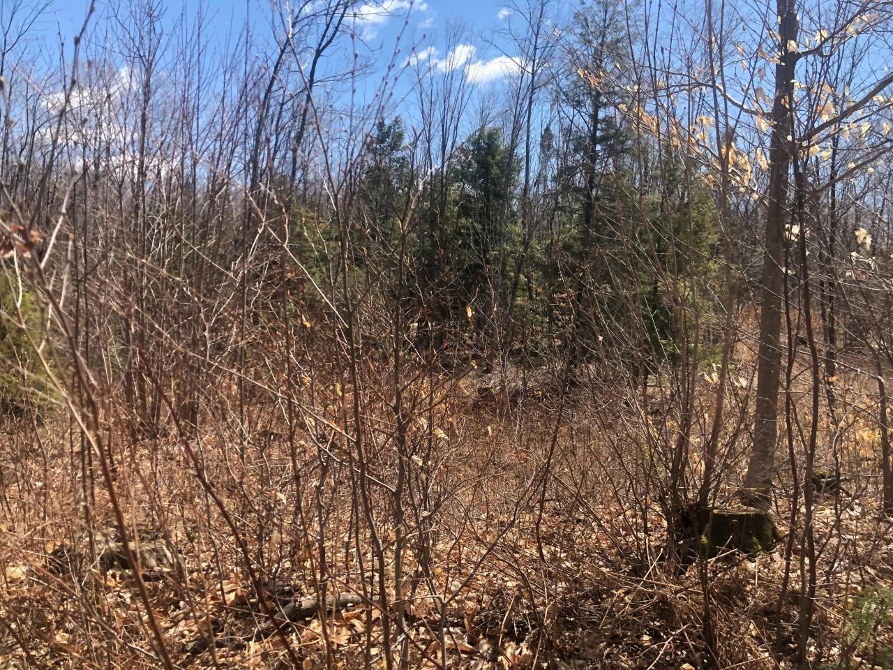 73 Parlin Road, Unit 3 Anson, ME 04911 - Photo 3 of 9 ADAMSLAND2.4.1