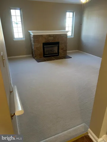 a view of fireplace with a potted plant