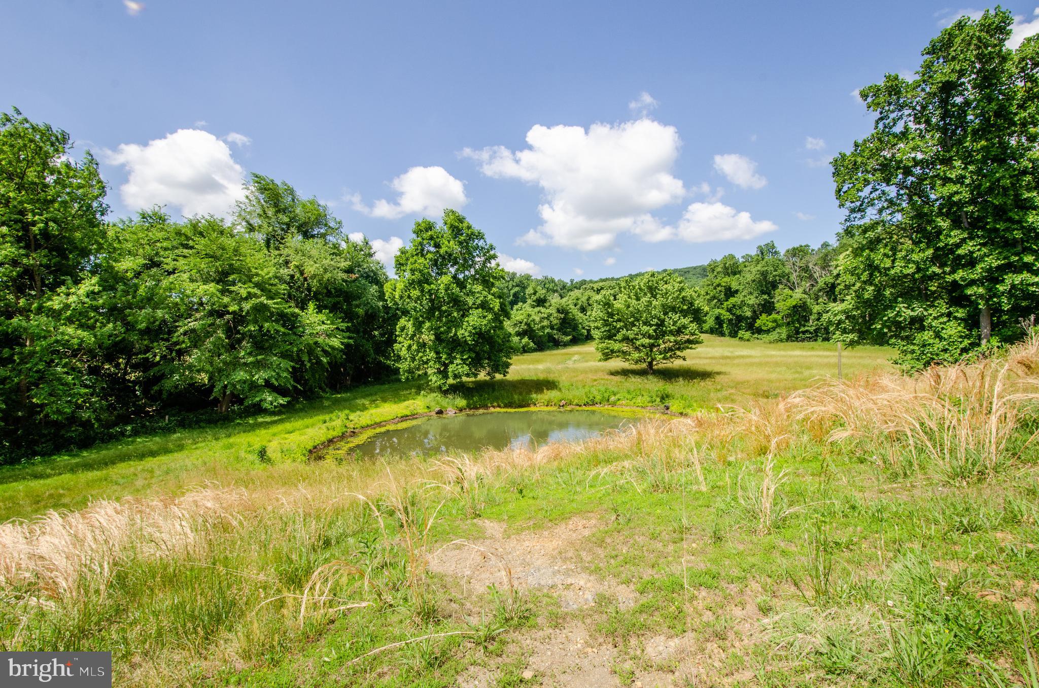 13099 Wilt Store Road Leesburg, VA 20176 - Photo 61 of 76 Gallery Image 61