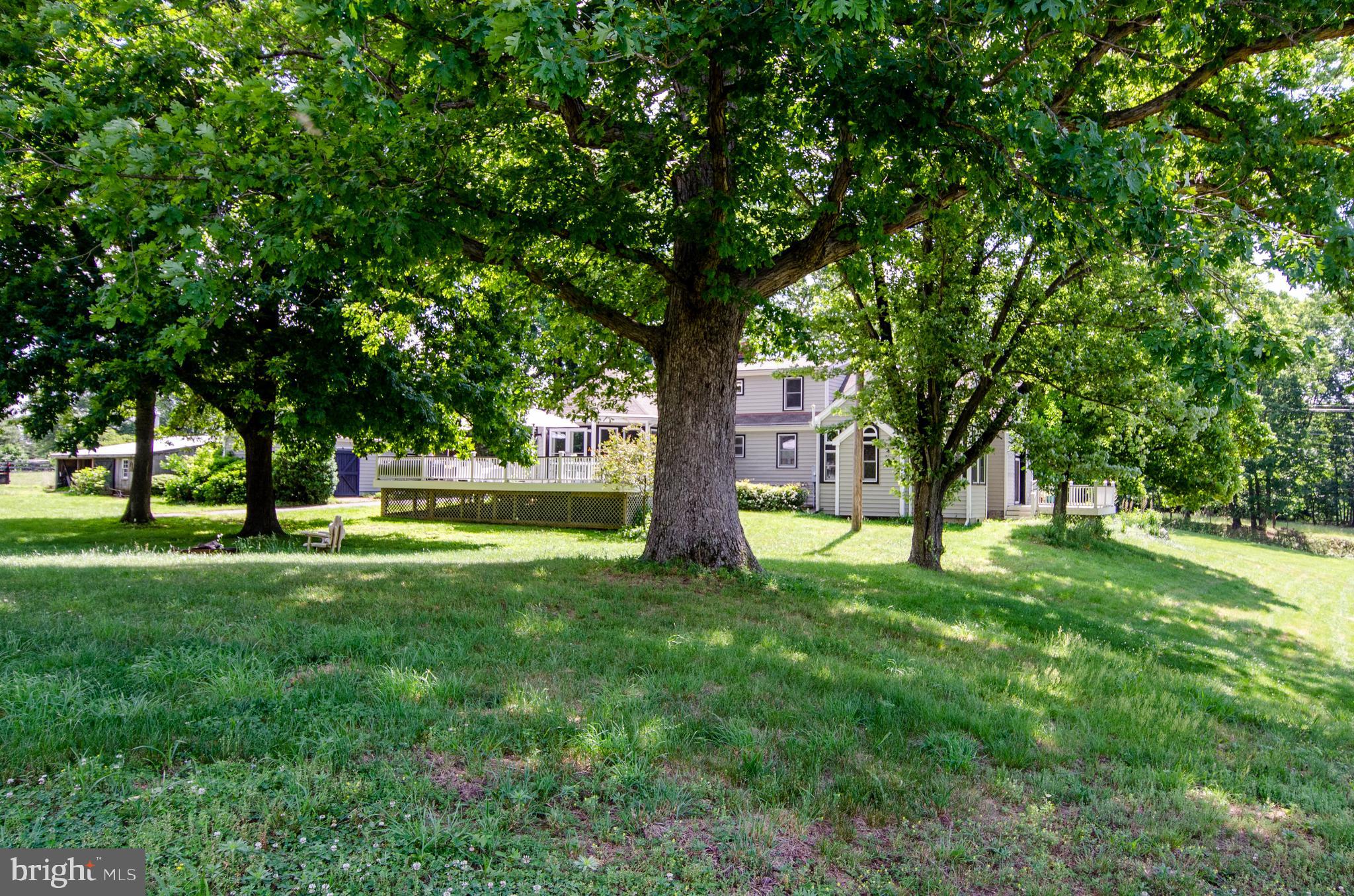 13099 Wilt Store Road Leesburg, VA 20176 - Photo 65 of 76 Gallery Image 65