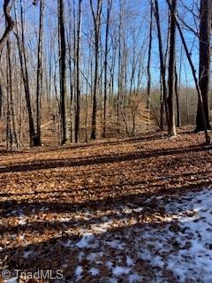 0 Unicorn Road Reidsville, NC 27320 - Photo 1 of 1 Gallery Image 1