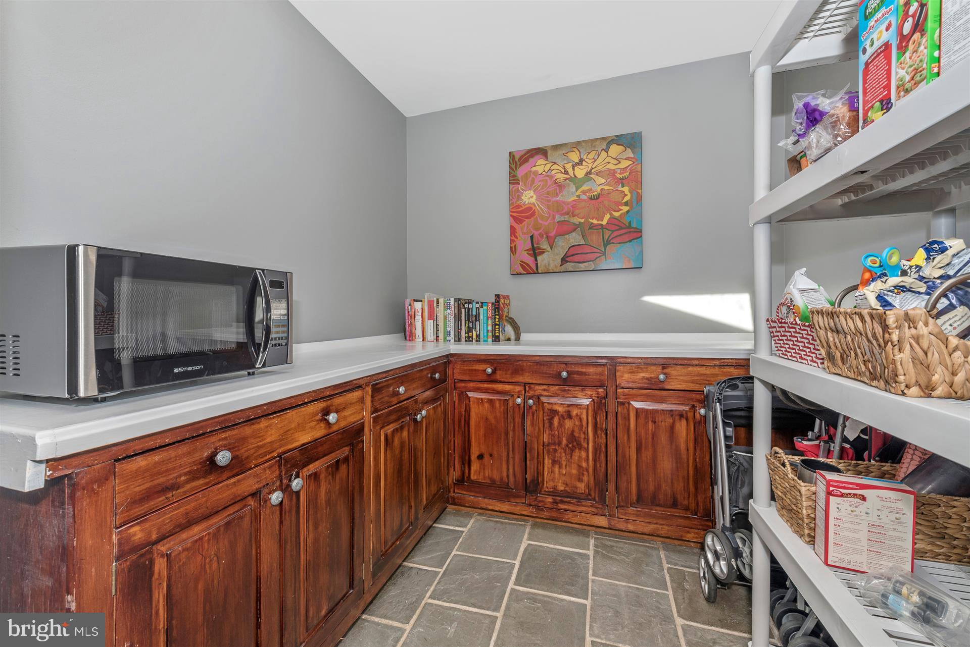 14318 Shirley Bohn Road Mount Airy, MD 21771 - Photo 11 of 24 Abundant Pantry Space
