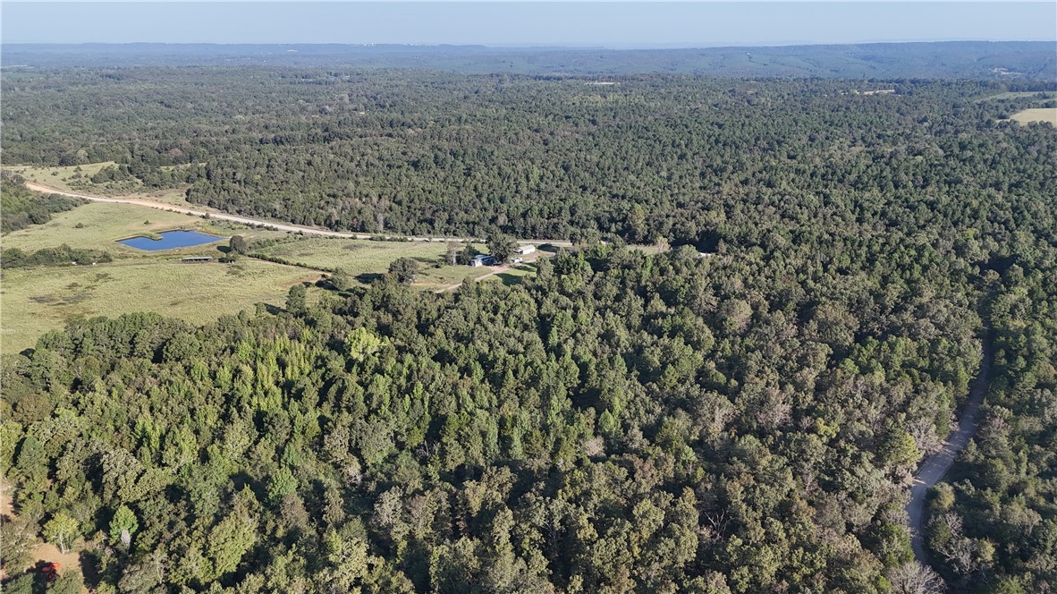 990 Mahan Drive Center Ridge, AR 72027 - Photo 9 of 31 Gallery Image 9