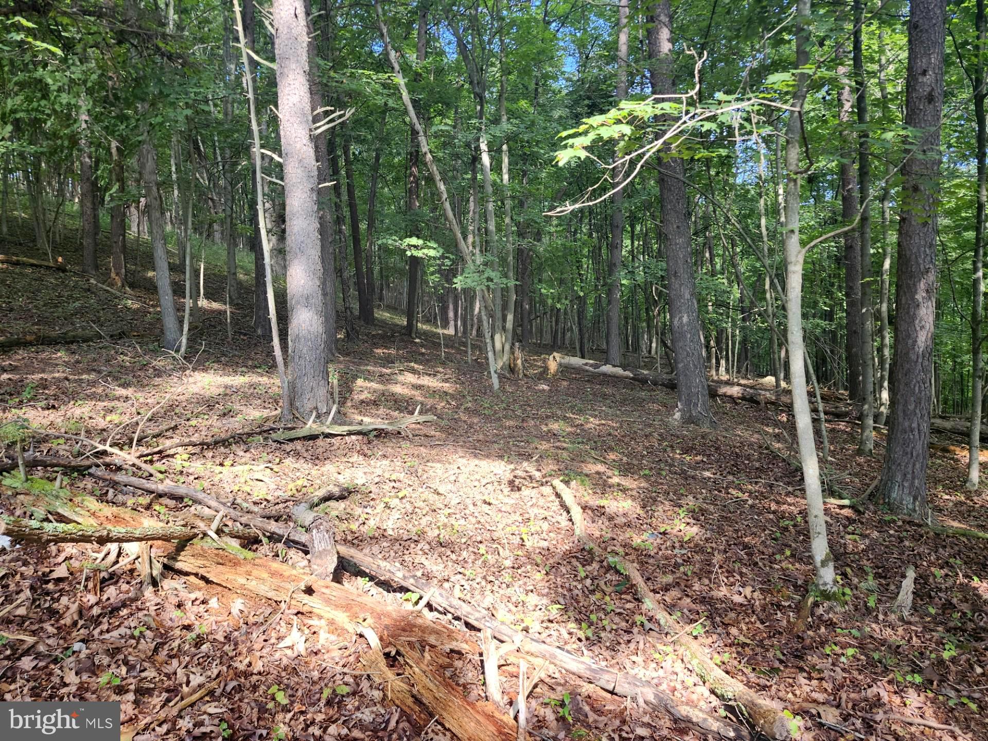 497 Dry Run Road Burlington, WV 26710 - Photo 47 of 80 Gallery Image 47
