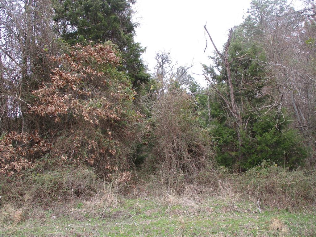 3040 County Road 3040 Emory, TX 75440 - Photo 1 of 6 View of local wilderness