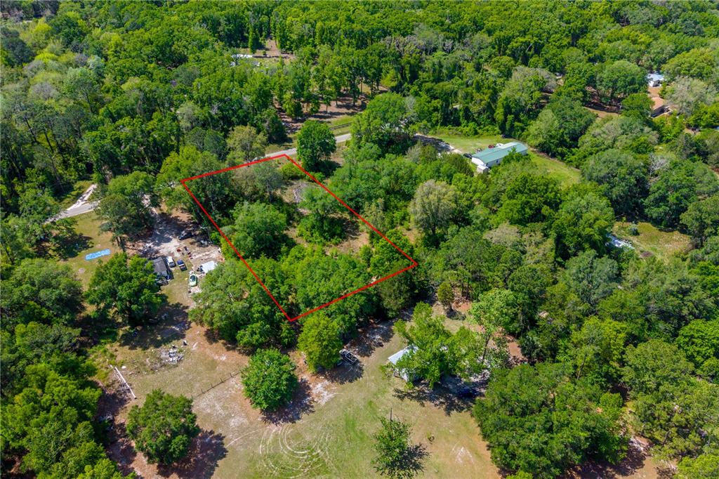 Tbd Southwest 52nd Terrace Lake Butler, FL 32054 - Photo 3 of 7 a view of a garden with a tree